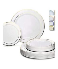 120 Plates Pack Disposable Wedding Party Plastic Plates