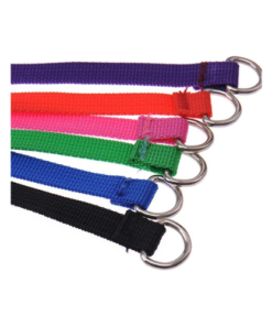 6 Pcs Bulk Pack Slip Leads Dog Pet Grooming Kennel Small Animal Control Shelter Lead Leash